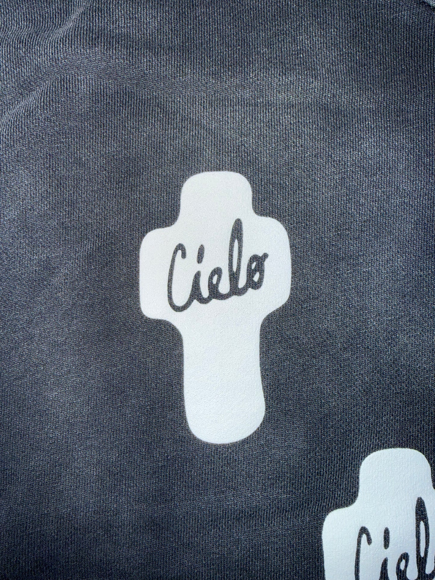 Classic CIELO hoodie