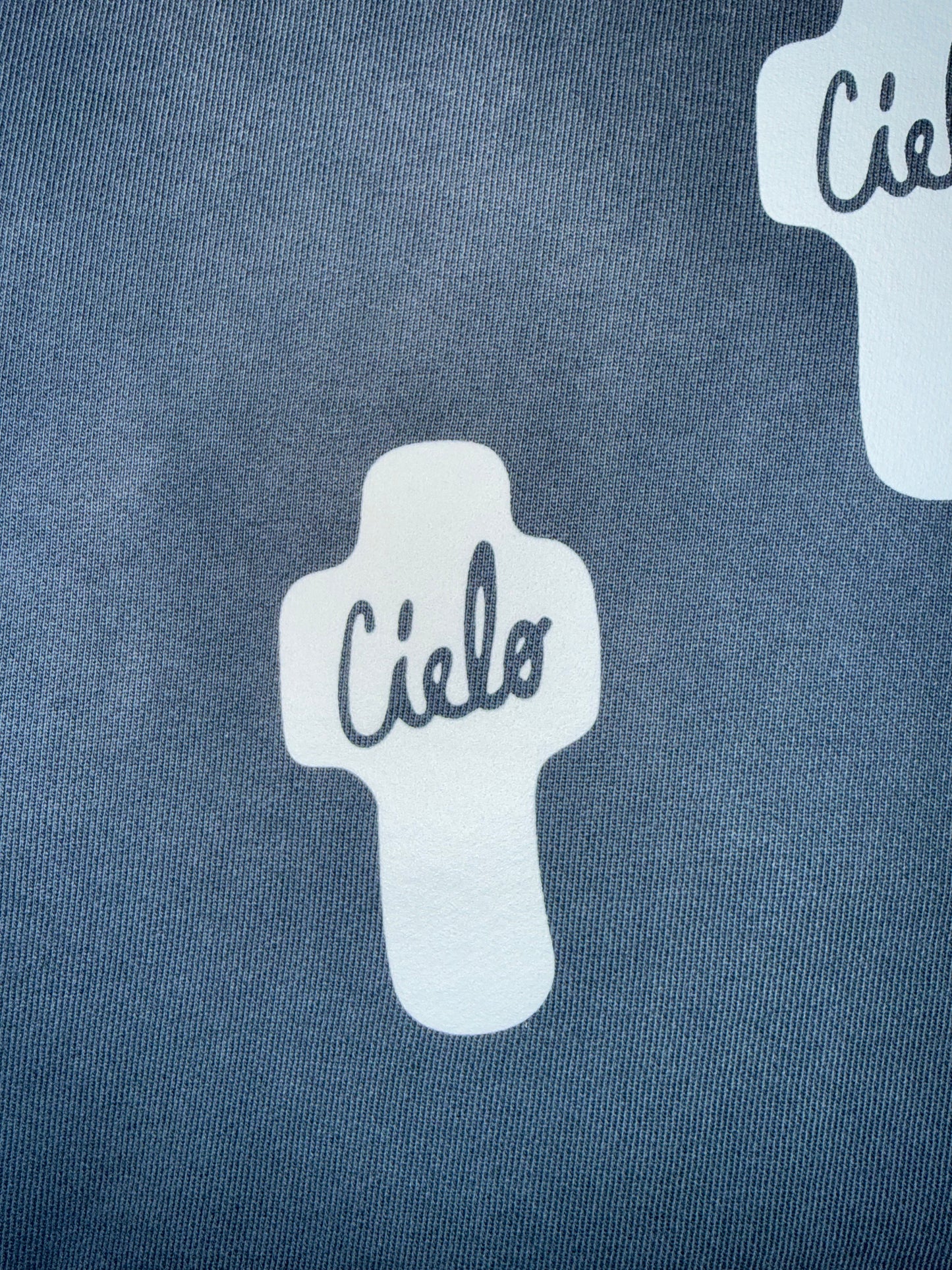 Classic CIELO hoodie
